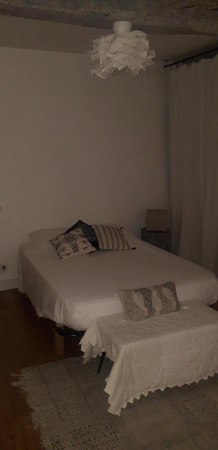 Appartement Cosy Au Coeur Du Centre Historique. Arles Buitenkant foto